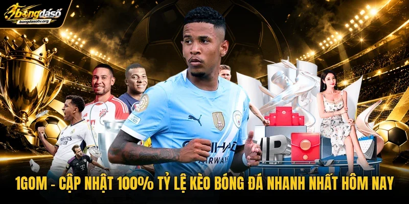 1gom | Cập Nhật 100% Tỷ Lệ Kèo Bóng Đá Nhanh Nhất Hôm Nay