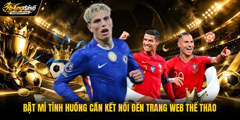 Bật mí tình huống cần kết nối đến trang web thể thao