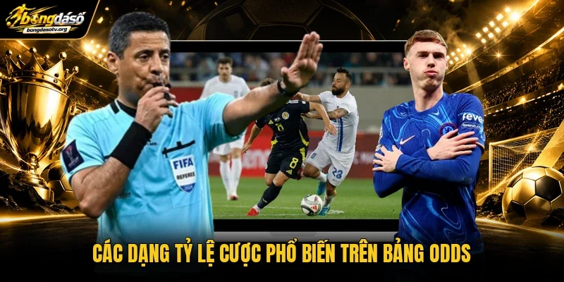 Các dạng tỷ lệ cược phổ biến trên bảng odds Các dạng tỷ lệ cược phổ biến trên bảng odds