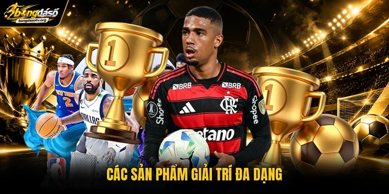 Các sản phẩm giải trí đa dạng