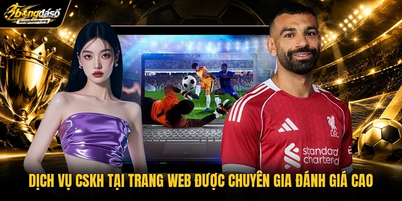 Dịch vụ CSKH tại trang web được chuyên gia đánh giá cao