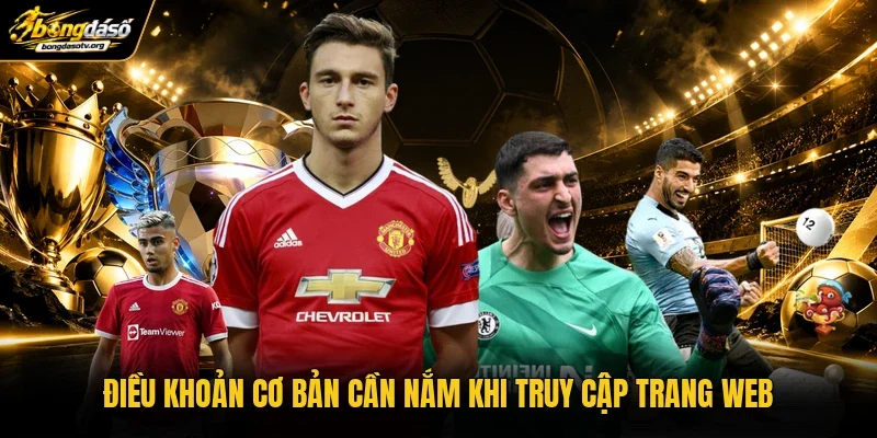 Điều khoản cơ bản cần nắm khi truy cập trang web