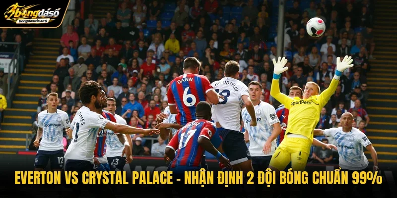 Everton Vs Crystal Palace | Nhận Định 2 Đội Bóng Chuẩn 99%