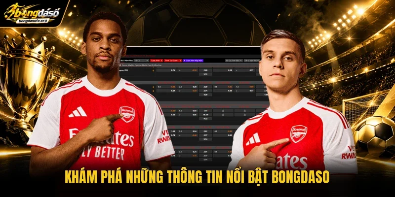 Khám phá những thông tin nổi bật BONGDASO