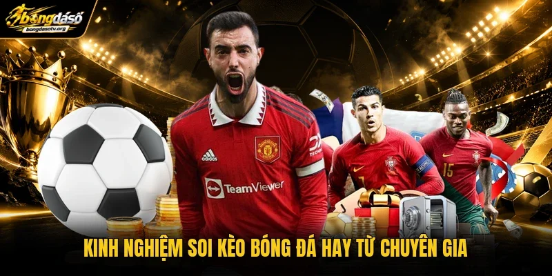 Kinh nghiệm soi kèo bóng đá hay từ chuyên gia