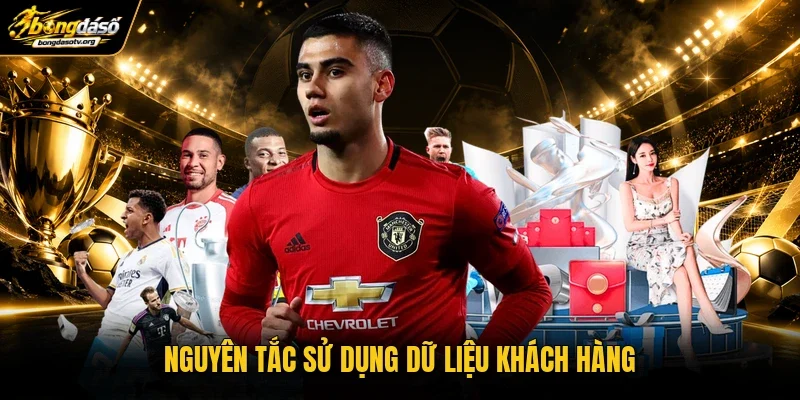 Nguyên tắc sử dụng dữ liệu khách hàng