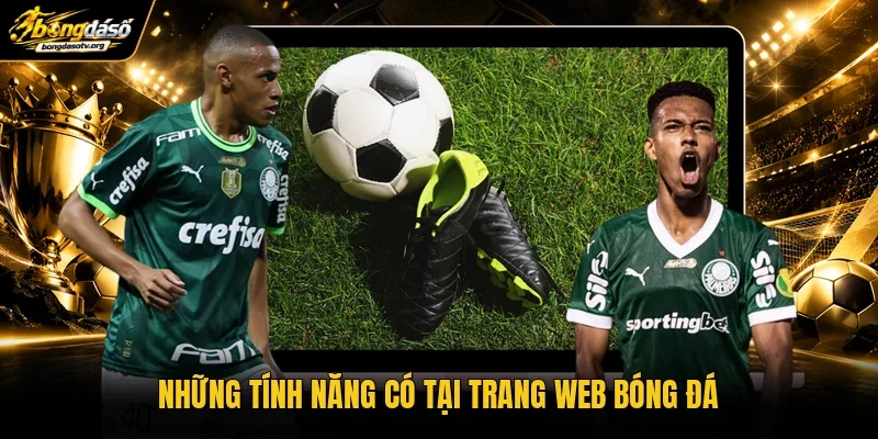Những tính năng có tại trang web bóng đá Những tính năng có tại trang web bóng đá