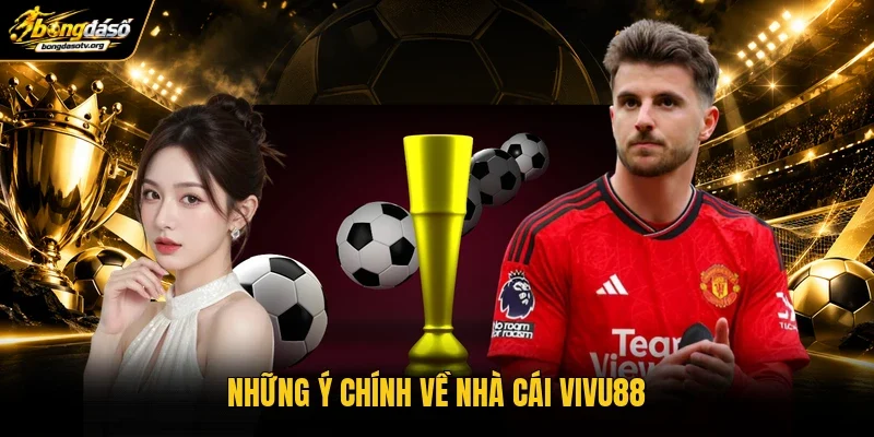 Những ý chính về nhà cái Vivu88