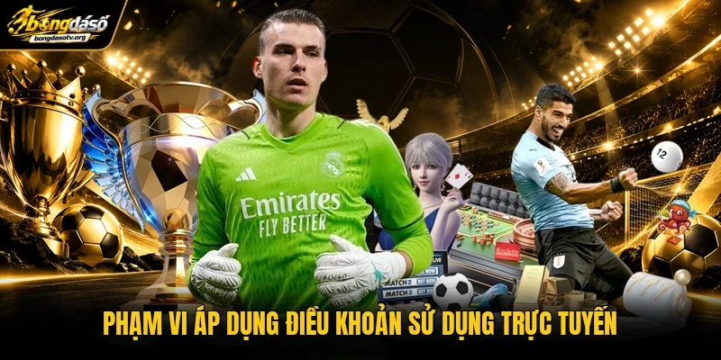 Phạm vi áp dụng điều khoản sử dụng trực tuyến