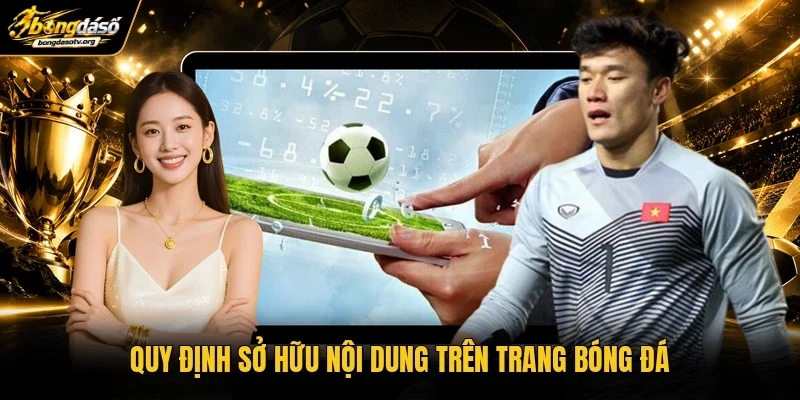 Quy định sở hữu nội dung trên trang bóng đá Quy định sở hữu nội dung trên trang bóng đá