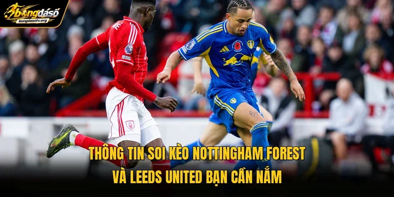 Thông tin soi kèo Nottingham Forest và Leeds United bạn cần nắm