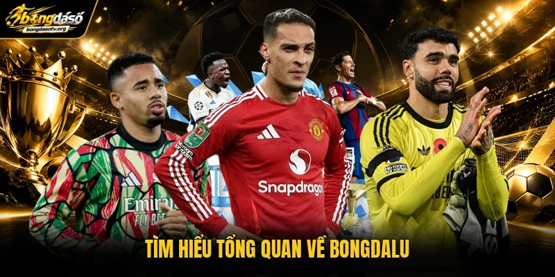 Tìm hiểu tổng quan về Bongdalu Tìm hiểu tổng quan về Bongdalu