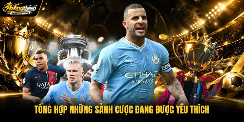 Tổng hợp những sảnh cược đang được yêu thích