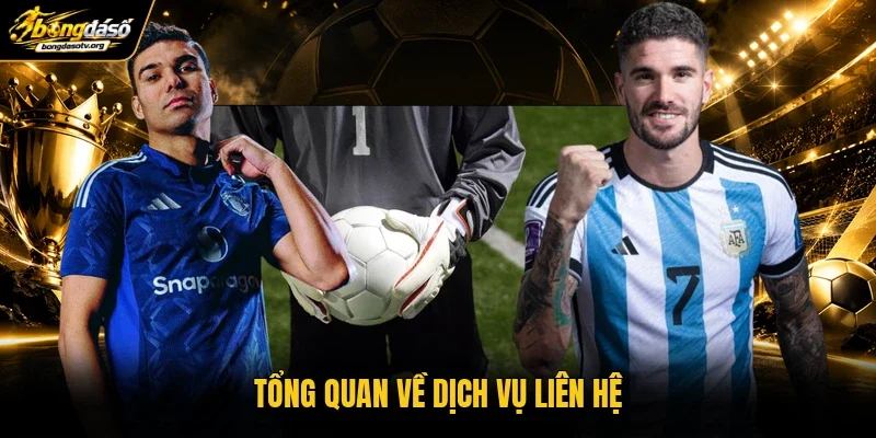 Tổng quan về dịch vụ liên hệ