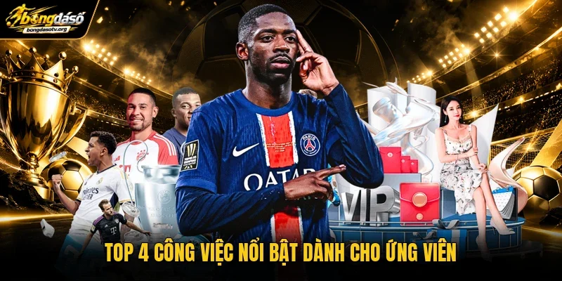 Top 4 công việc nổi bật dành cho ứng viên