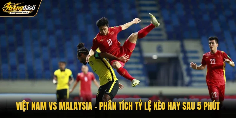 Việt Nam Vs Malaysia | Phân Tích Tỷ Lệ Kèo Hay Sau 5 Phút